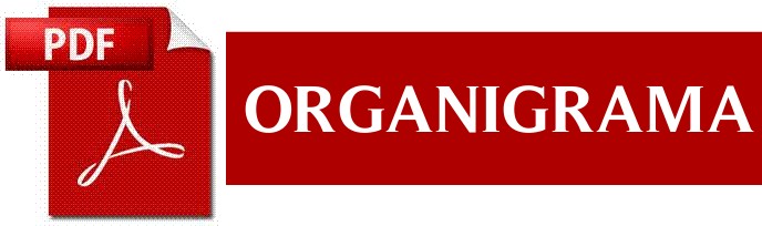 Organigrama